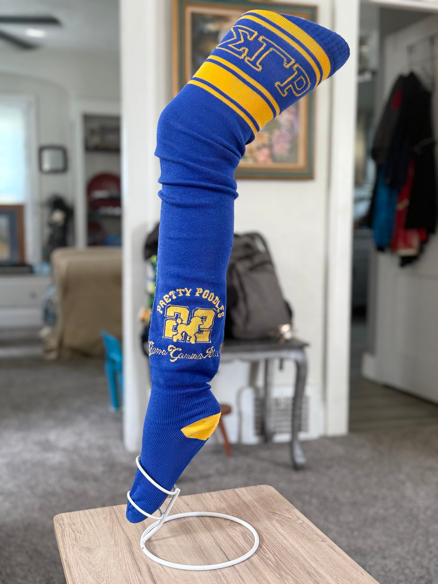 SGR Thigh High Socks