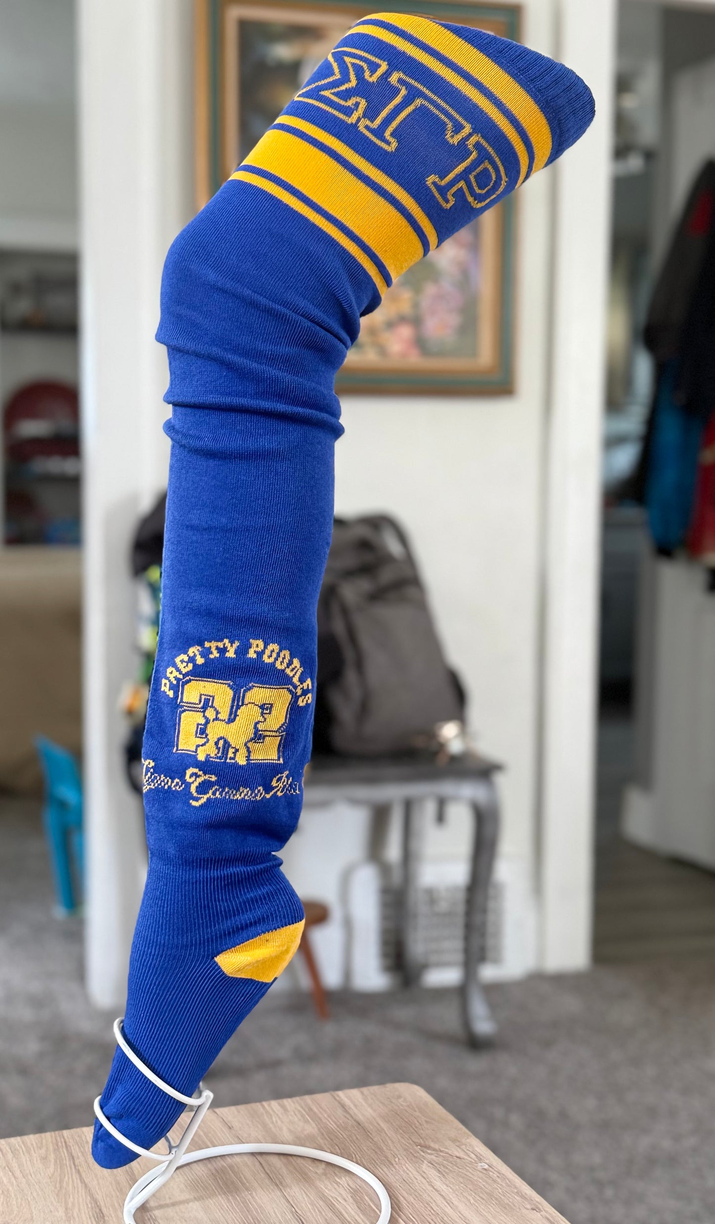 SGR Thigh High Socks